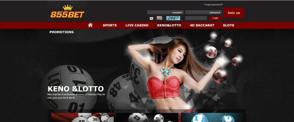 855bet Bonuses & Promotions