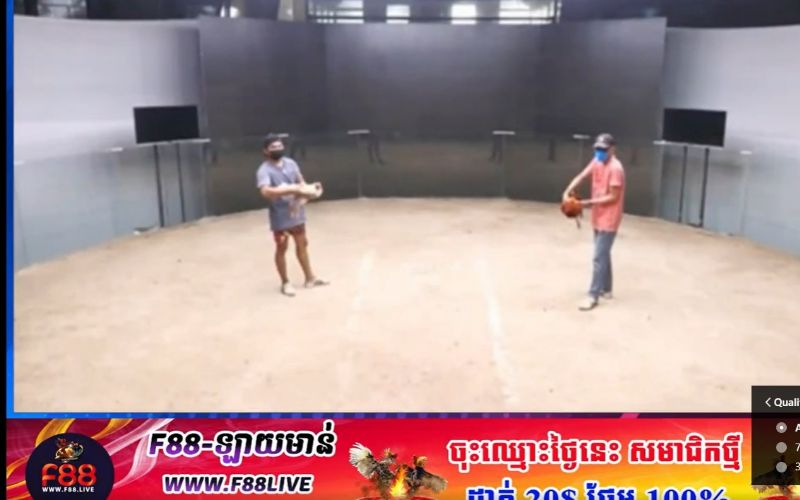 F88Live Overall Cockfighting Platform in Cambodia