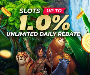 Slots 1% Unlimited Daily Rebate