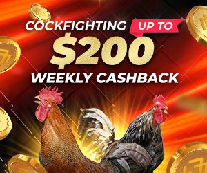 Cockfighting up to $200 Weekly Cashback