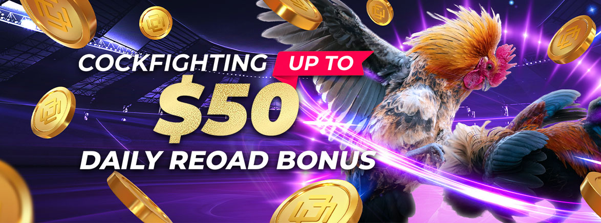 Cockfighting 12% Daily Reload Bonus 50 USD